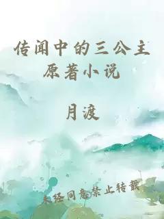 传闻中的三公主原著小说